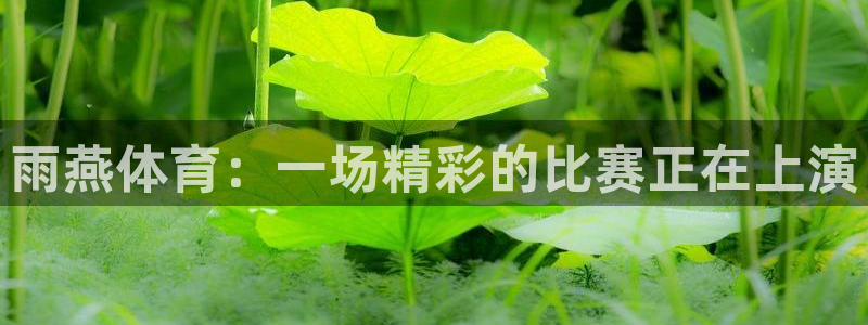 新闻图片