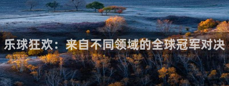 乐球狂欢：来自不同领域的全球冠军对决