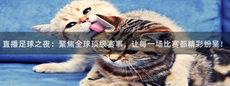 直播足球之夜：聚焦全球顶级赛事，让每一场比赛都精彩纷呈！
