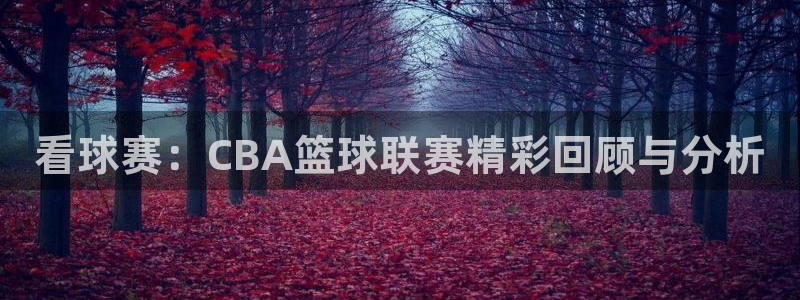 看球赛：CBA篮球联赛精彩回顾与分析