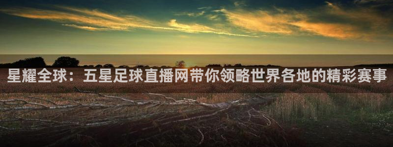 星耀全球：五星足球直播网带你领略世界各地的精彩赛事