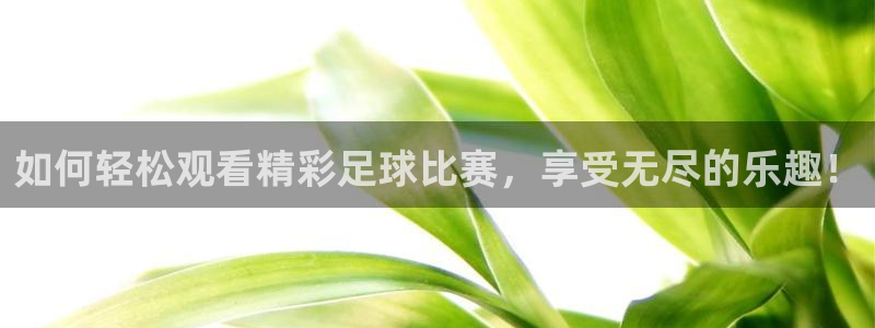 如何轻松观看精彩足球比赛，享受无尽的乐趣！