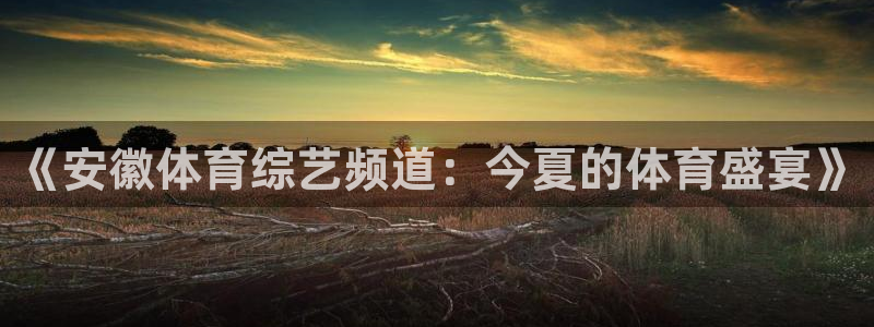 《安徽体育综艺频道：今夏的体育盛宴》