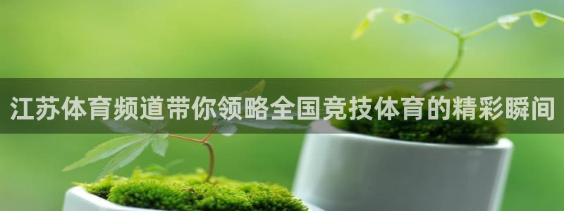 江苏体育频道带你领略全国竞技体育的精彩瞬间