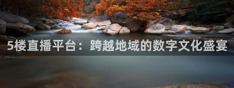 5楼直播平台：跨越地域的数字文化盛宴