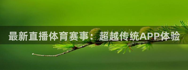 最新直播体育赛事：超越传统APP体验