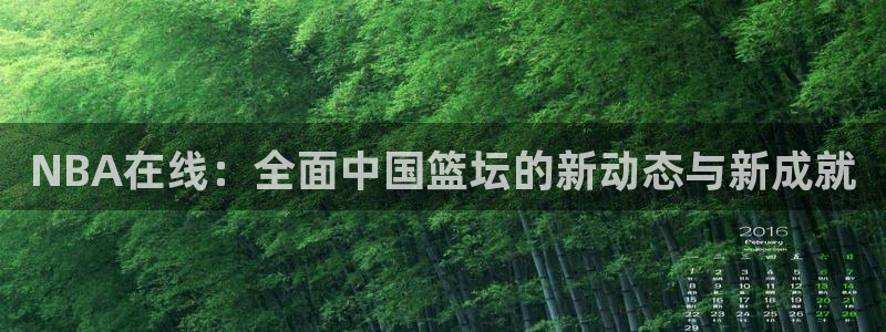NBA在线：全面中国篮坛的新动态与新成就