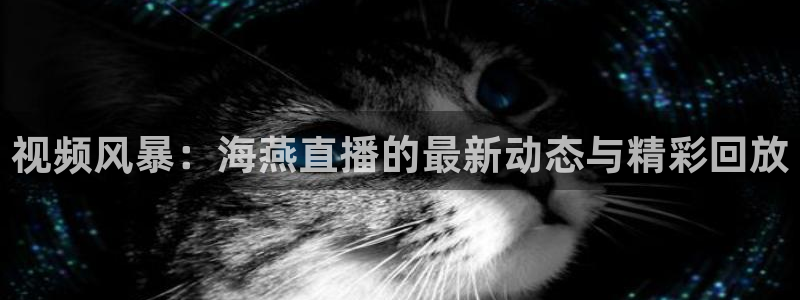 视频风暴：海燕直播的最新动态与精彩回放