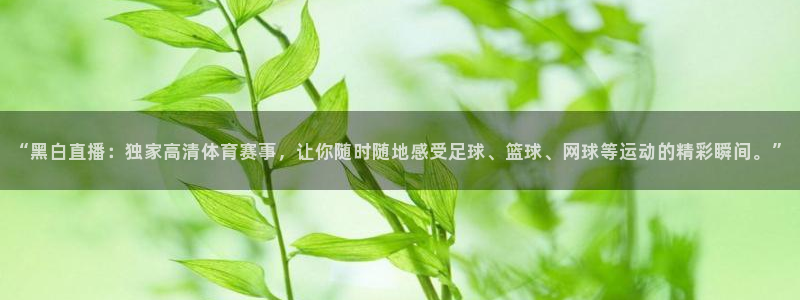 “黑白直播：独家高清体育赛事，让你随时随地感受足球、篮球、网球等运动的精彩瞬间。”