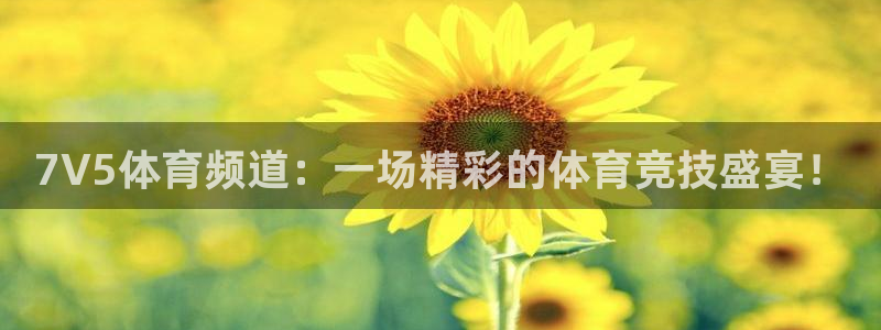 7V5体育频道：一场精彩的体育竞技盛宴！