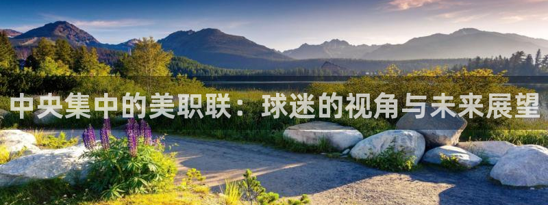 中央集中的美职联：球迷的视角与未来展望
