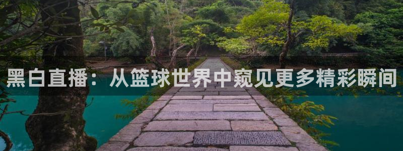 黑白直播：从篮球世界中窥见更多精彩瞬间