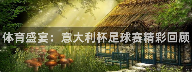 体育盛宴：意大利杯足球赛精彩回顾