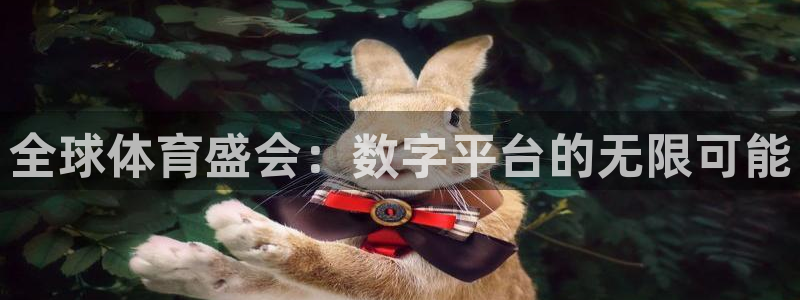 全球体育盛会：数字平台的无限可能
