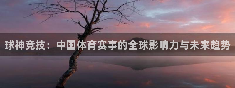 球神竞技：中国体育赛事的全球影响力与未来趋势