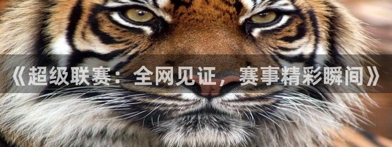 《超级联赛：全网见证，赛事精彩瞬间》