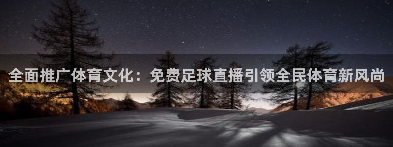 全面推广体育文化：免费足球直播引领全民体育新风尚