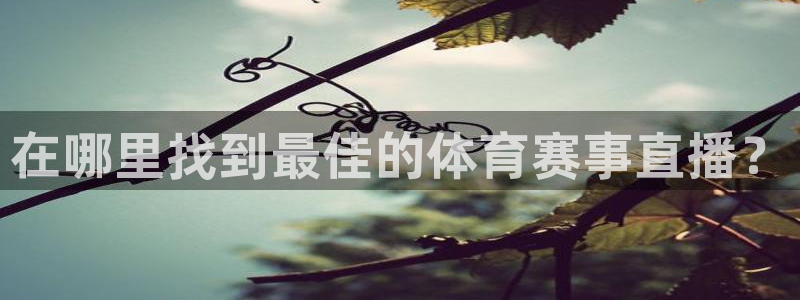 在哪里找到最佳的体育赛事直播？