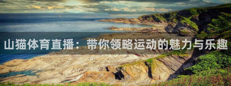 山猫体育直播：带你领略运动的魅力与乐趣