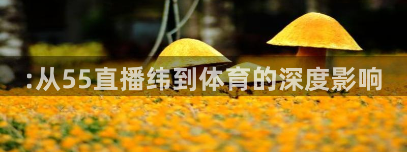 :从55直播纬到体育的深度影响
