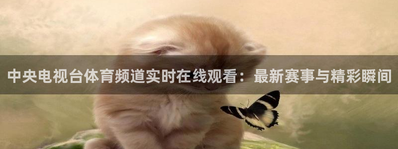 中央电视台体育频道实时在线观看：最新赛事与精彩瞬间