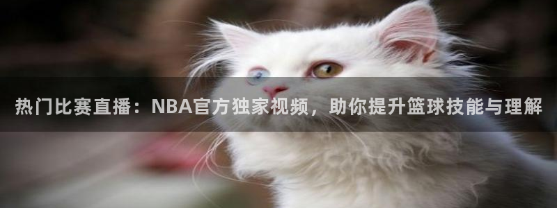 热门比赛直播：NBA官方独家视频，助你提升篮球技能与理解