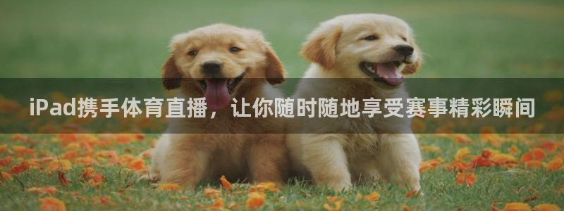 iPad携手体育直播，让你随时随地享受赛事精彩瞬间