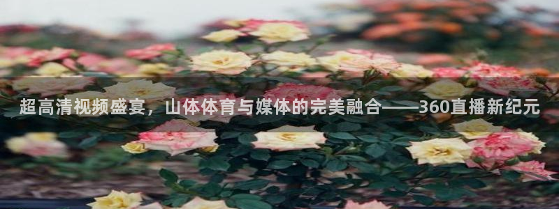 超高清视频盛宴，山体体育与媒体的完美融合——360直播新纪元