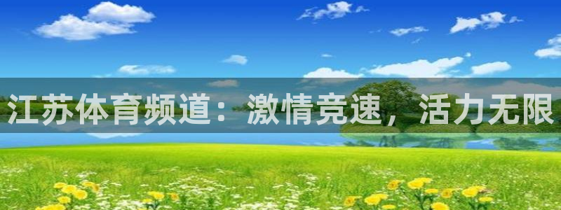 江苏体育频道：激情竞速，活力无限