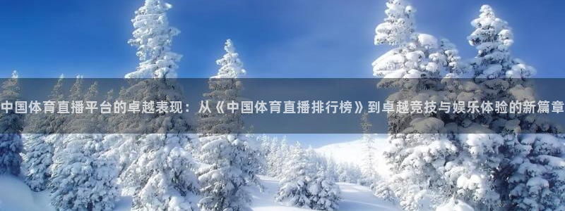 中国体育直播平台的卓越表现：从《中国体育直播排行榜》到卓越竞技与娱乐体验的新篇章