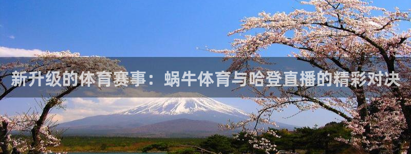 新升级的体育赛事：蜗牛体育与哈登直播的精彩对决