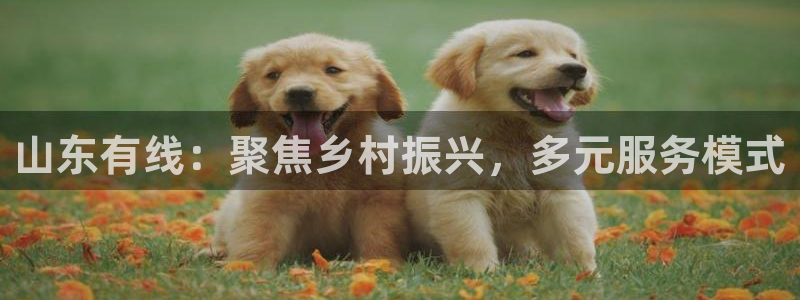 山东有线：聚焦乡村振兴，多元服务模式