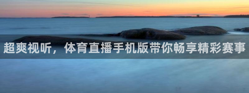 超爽视听，体育直播手机版带你畅享精彩赛事