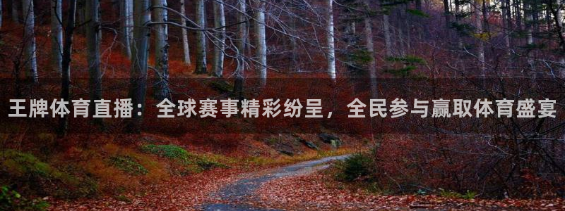王牌体育直播：全球赛事精彩纷呈，全民参与赢取体育盛宴