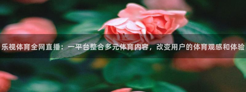 乐视体育全网直播：一平台整合多元体育内容，改变用户的体育观感和体验