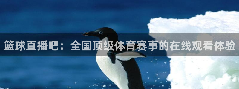 篮球直播吧：全国顶级体育赛事的在线观看体验