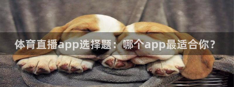 体育直播app选择题：哪个app最适合你？