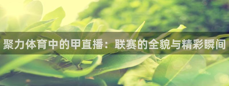 聚力体育中的甲直播：联赛的全貌与精彩瞬间