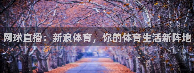网球直播：新浪体育，你的体育生活新阵地