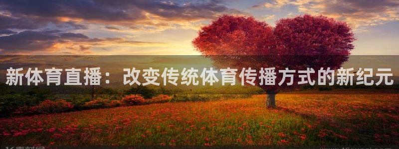 新体育直播：改变传统体育传播方式的新纪元