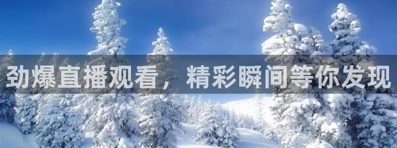 劲爆直播观看，精彩瞬间等你发现