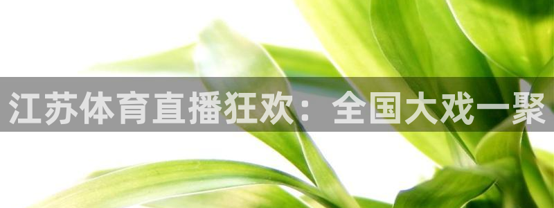 江苏体育直播狂欢：全国大戏一聚