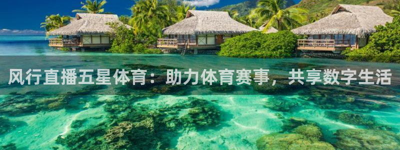 风行直播五星体育：助力体育赛事，共享数字生活