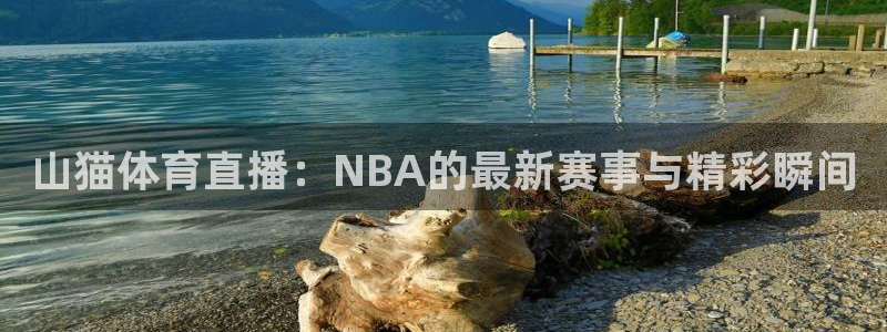 山猫体育直播：NBA的最新赛事与精彩瞬间