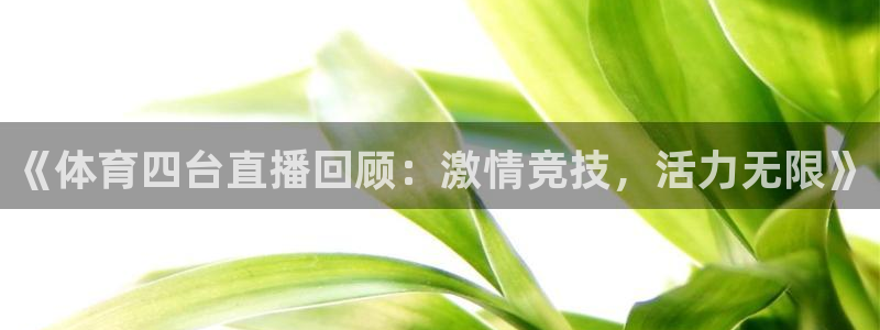 《体育四台直播回顾：激情竞技，活力无限》