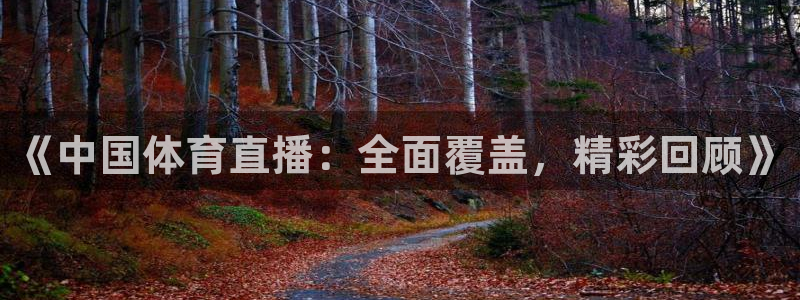 《中国体育直播：全面覆盖，精彩回顾》