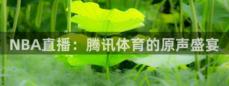 NBA直播：腾讯体育的原声盛宴