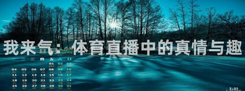 我来气：体育直播中的真情与趣