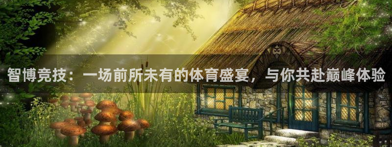 智博竞技：一场前所未有的体育盛宴，与你共赴巅峰体验