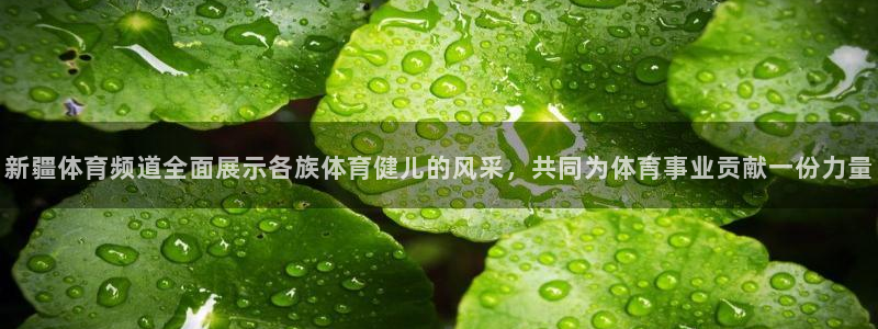 新疆体育频道全面展示各族体育健儿的风采，共同为体育事业贡献一份力量